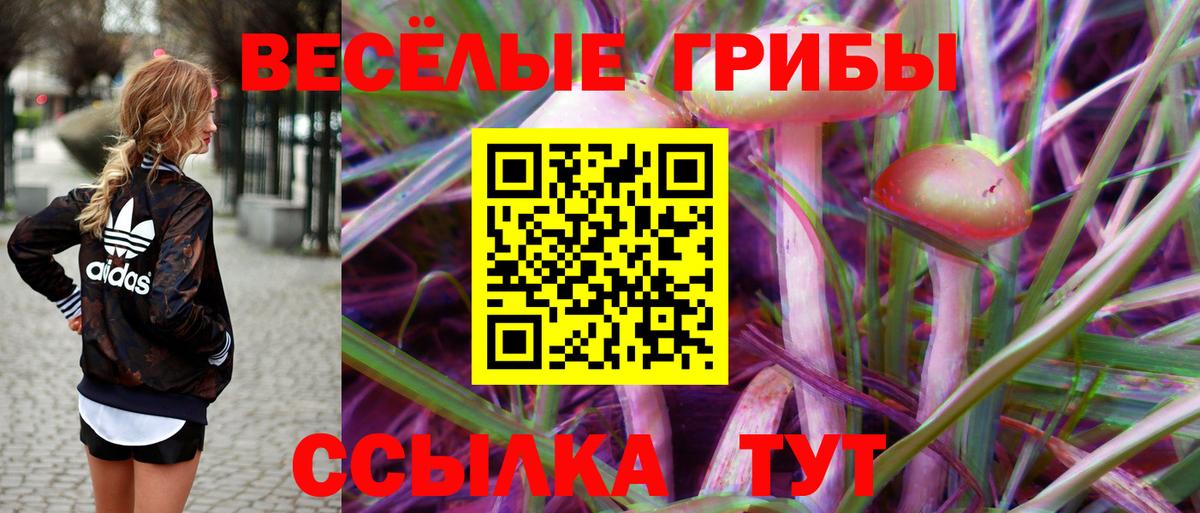 Галлюциногенные грибы MAGIC MUSHROOMS  Галлюциногенные грибы GOLDEN TEACHER  Стерлитамак  Вход с VPN 